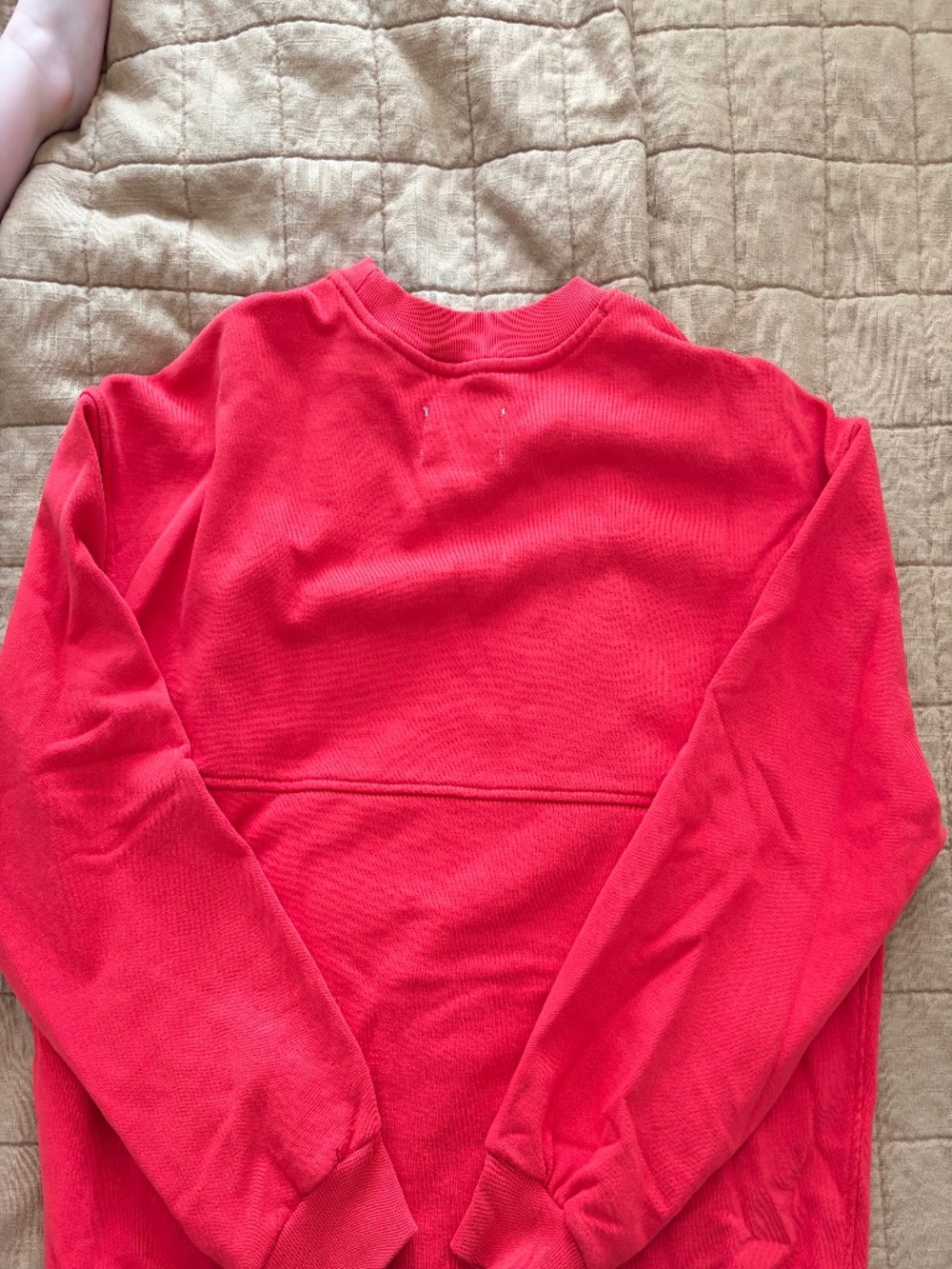 Everlane Organic Cotton Crewneck - Picture 5 of 5